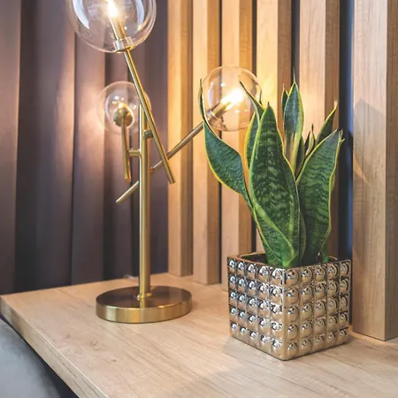 Apartament Brzoskwiniowy 아파트 *